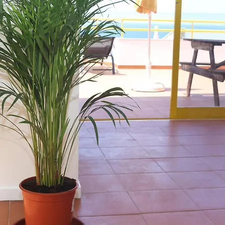 Brilhante - Large One Bedroom With Splendid Seaview Daire